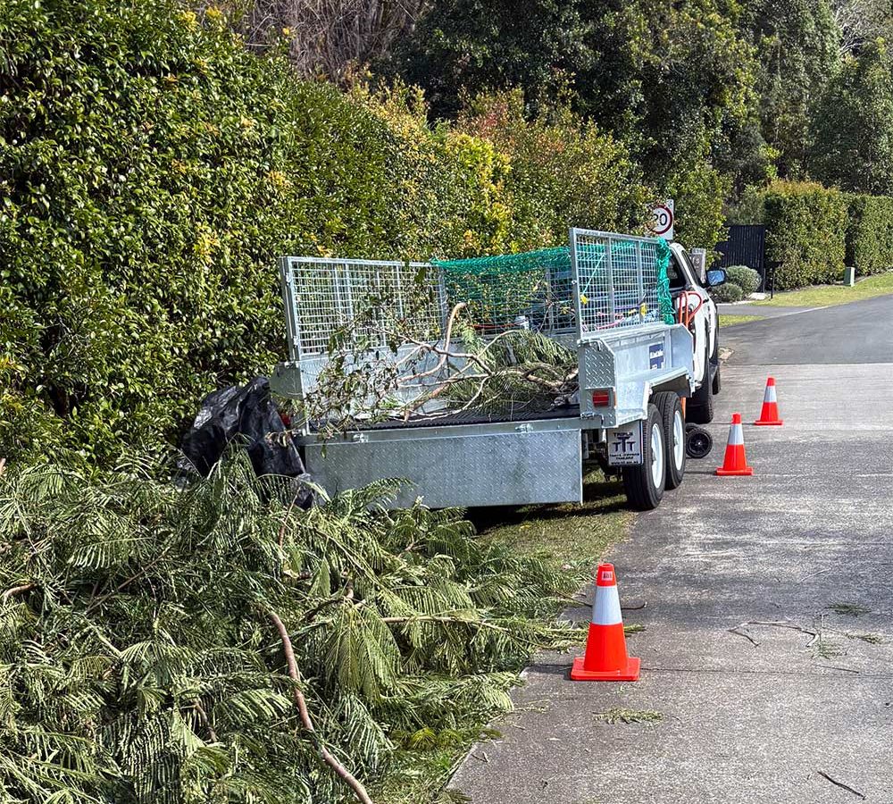 Illustrative garden photography for Green waste removal
